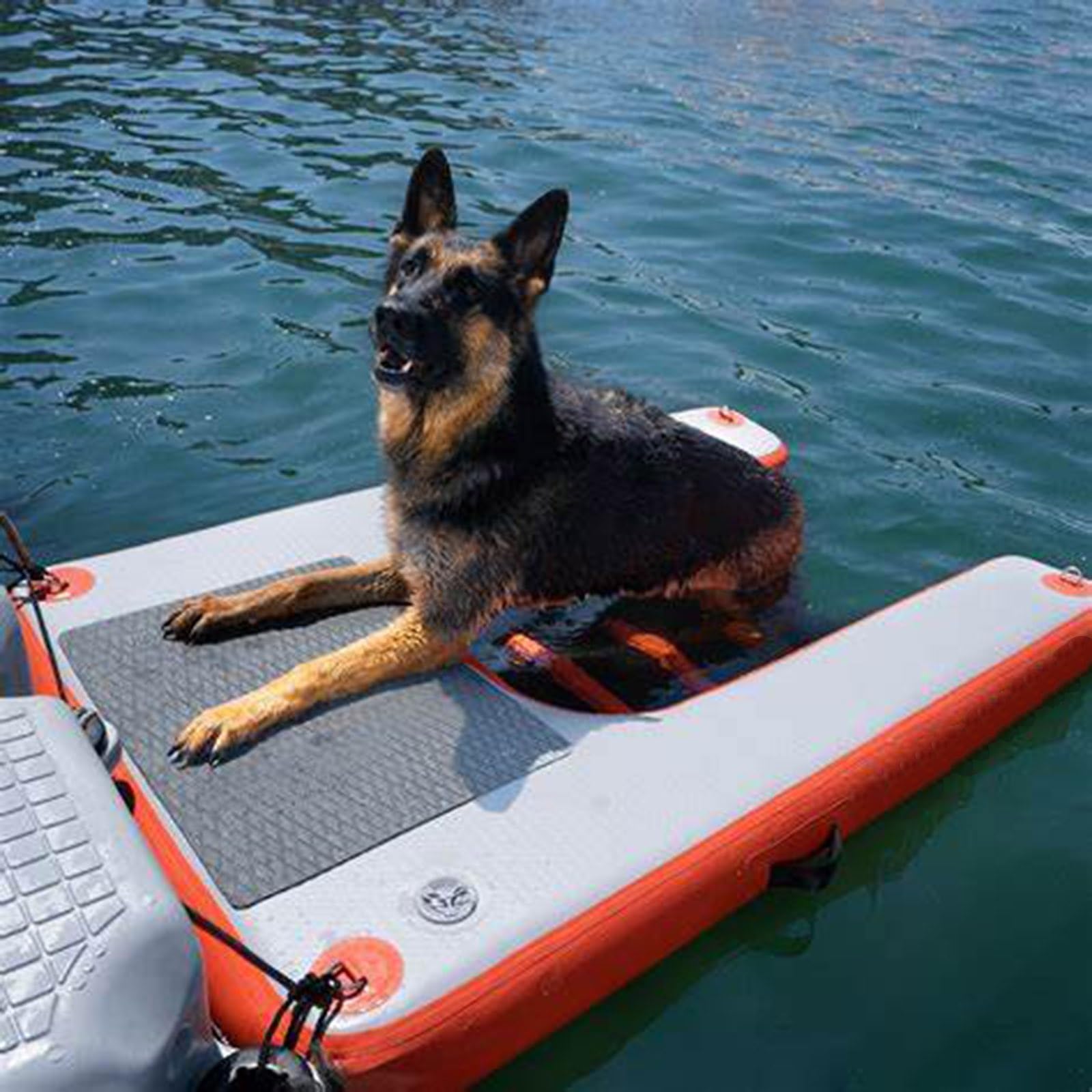 Rampa de piscina portátil para perros con accesorios para una fácil entrada y salida de agua, superficie antideslizante para mayor seguridad, ideal para lagos y salidas a la playa