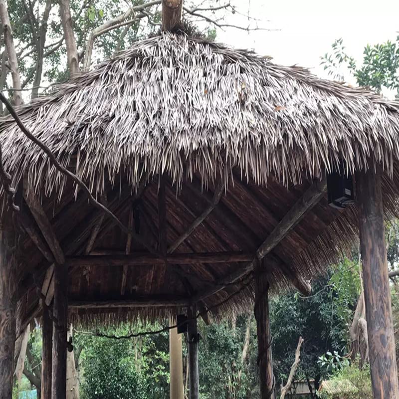 View 8