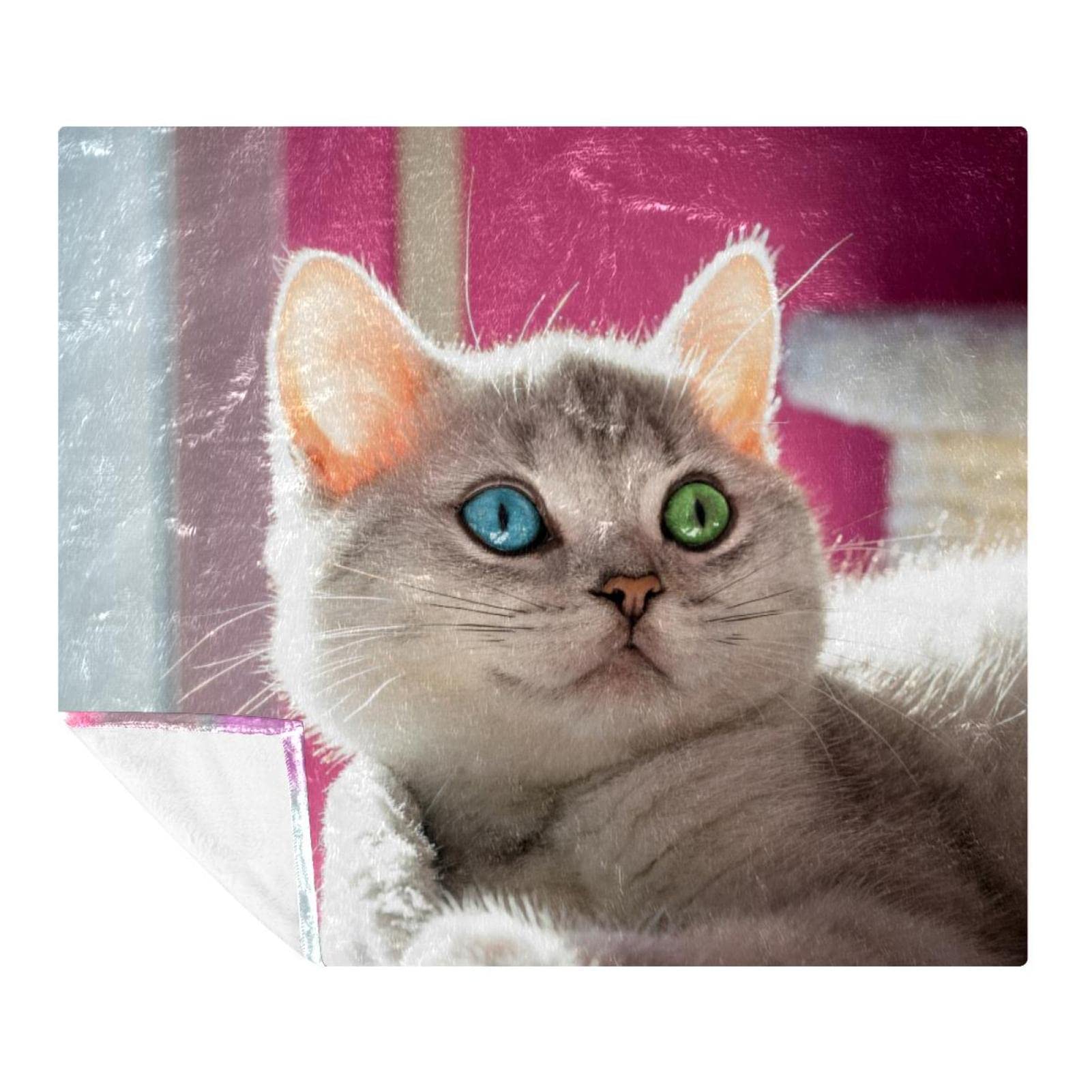 Couvertures chaudes et douces en microfibre peluche chat