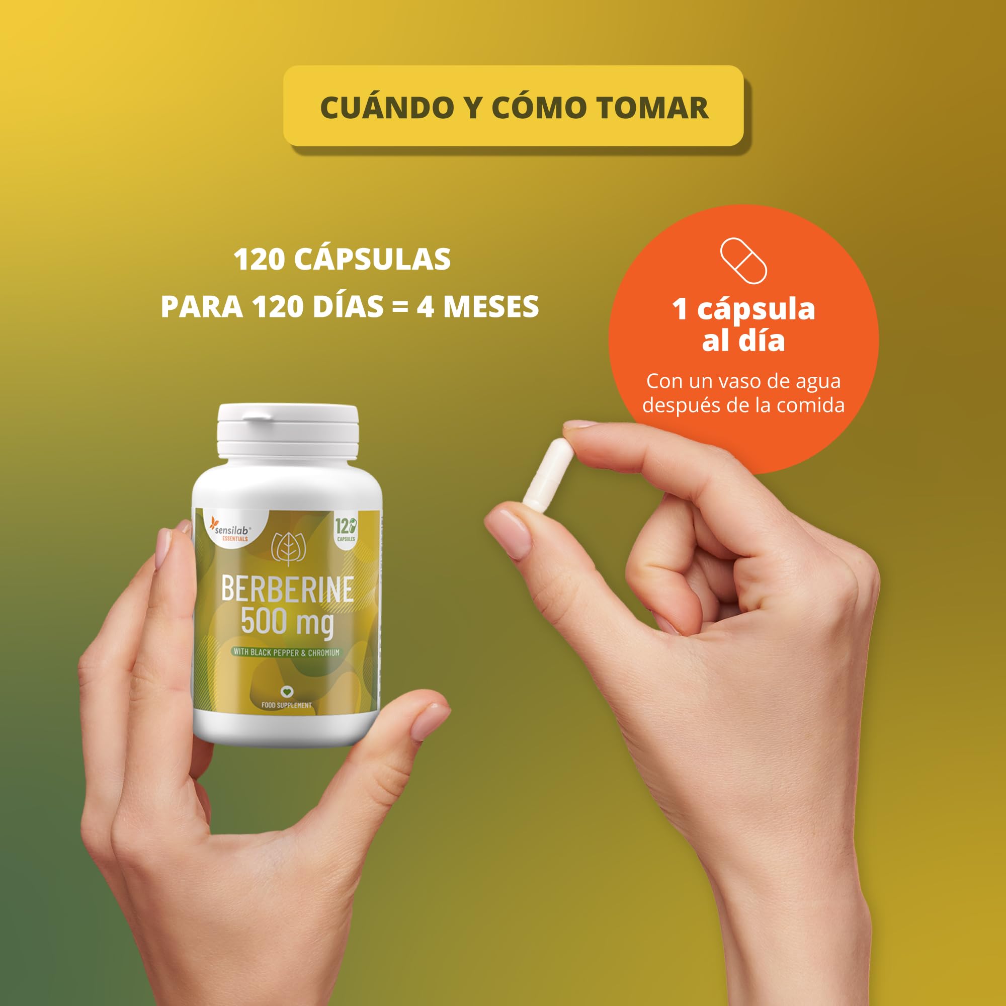 Sensilab Berberina con Cromo y Pimienta Negra. 120 Cápsulas para 4 Meses | El cromo contribuye al metabolismo normal de los macronutrientes y al mantenimiento de glucosa normal. Vegano