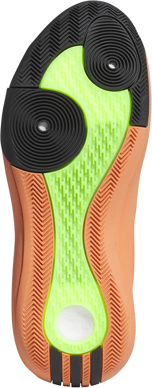 鼇頭 仏祖三経指南 』 佛祖三経指南 上中下巻合本 道霈 作 貞享二年