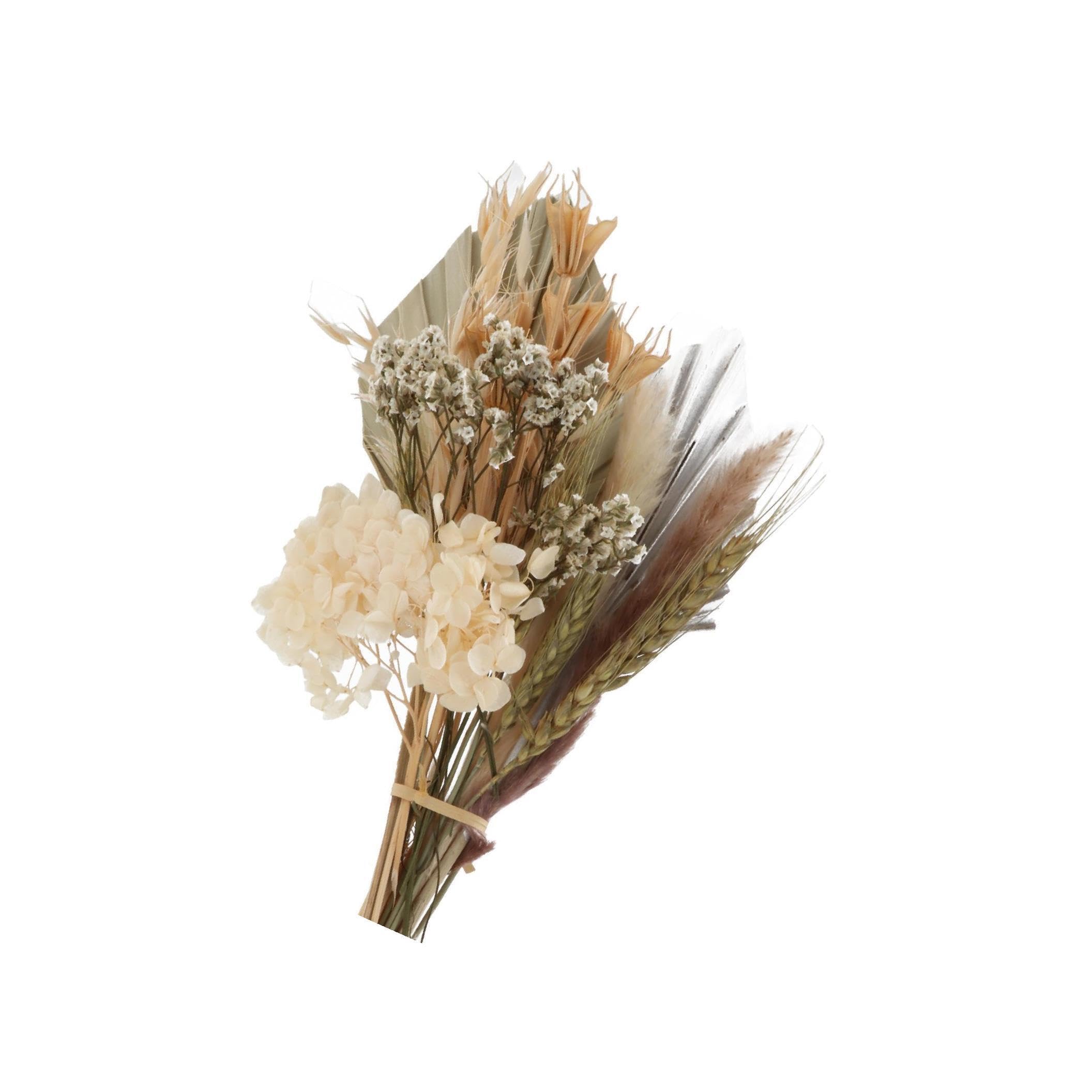 Zambuph Natural Dried Palm Spear for Bohemian Home Decor, Type 1