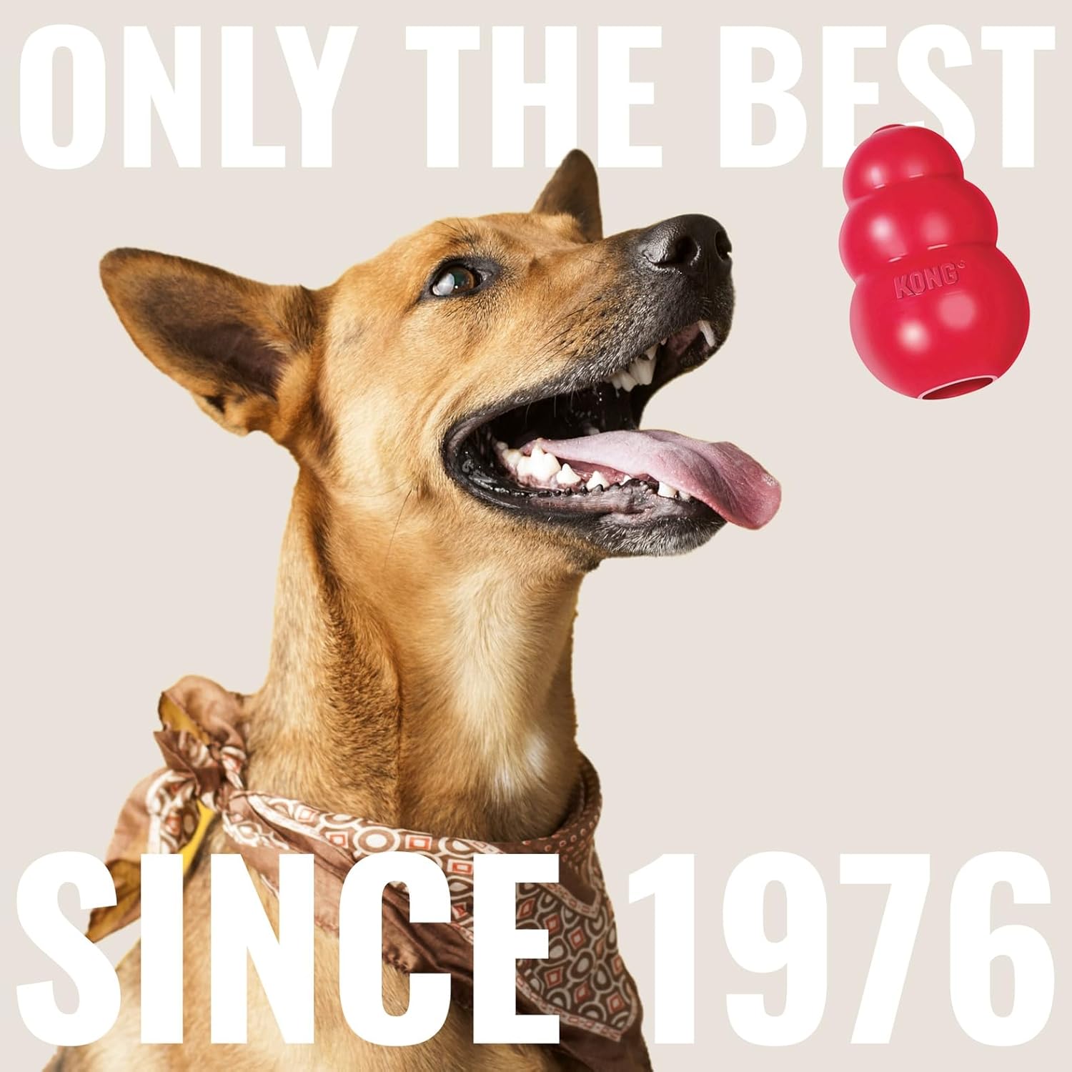 KONG Floppy Knots & Signature Balls (2 Pack) - Knotted Dog Toy Entices Play & Satisfies Instincts - Dog Supplies with Minimal Stuffing - Strong Dog Toy Balls for Fetch - Elephant, for Large Dogs