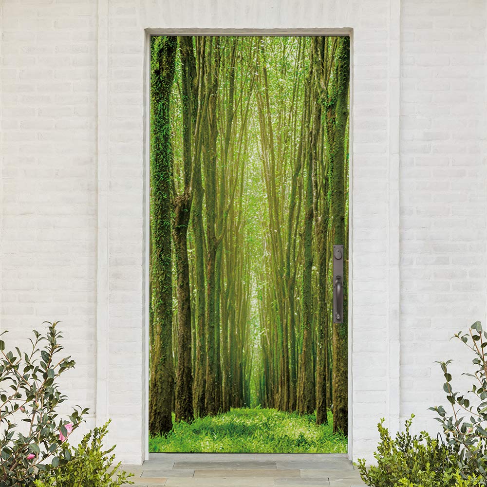 Vinilo 3D para puerta mural autoadhesivo extraíble y póster de pared grande