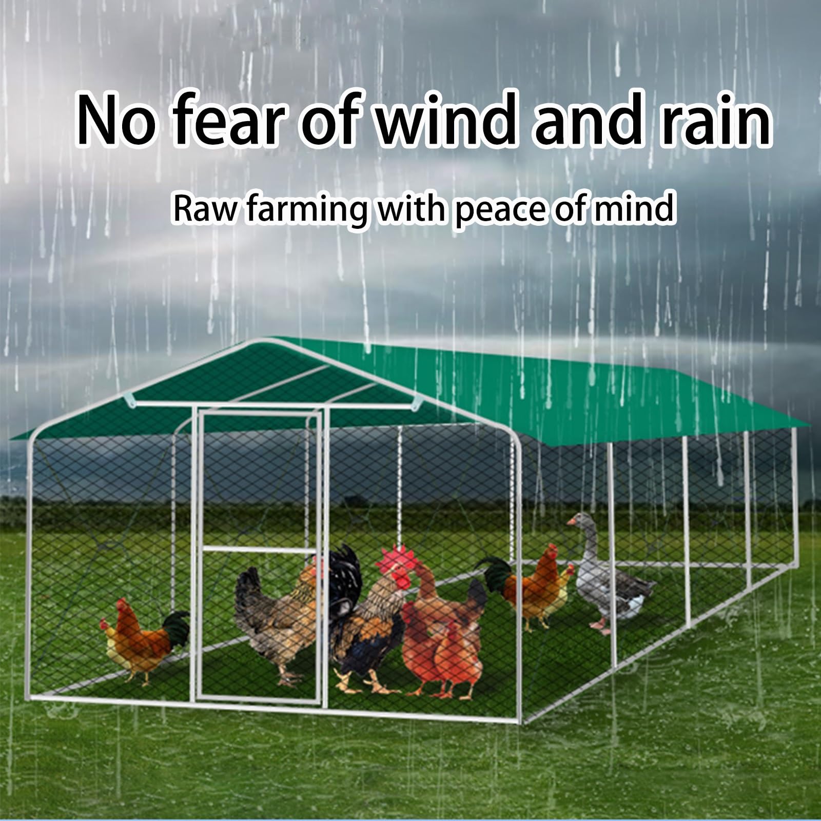 Pollaio Da Interno Con Vassoio Estraibile Gabbia Per Pollame, Casetta Per  Animali Fai Da Te Adatta, image size:1600x1600