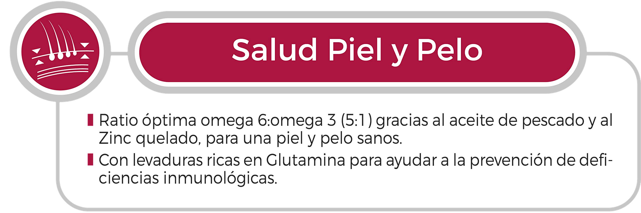 SELECT Adult Chicken 12Kg.