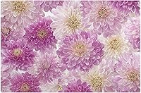 Vista 45 de Tapete de café para cafetera, tapete con respaldo absorbente antideslizante para encimera de cocina, de secado rápido, lavable, de secado de platos