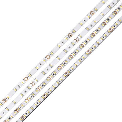 Diode LED Blaze™ Basics 200 LED Cinta de luz 12V 2700K 16.4ft 2.93/ft Carrete