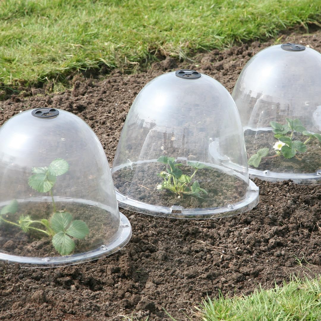 Haxnicks TIERRA GARDEN Lot de 3 Cloches de Jardin Transparentes Original 34 x 26 cm