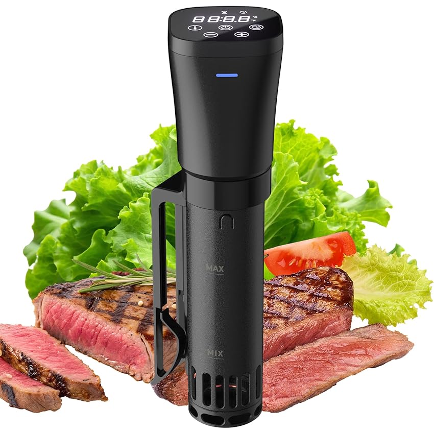 Sous Vide Roner Cucina a Bassa Temperatura 1000W Slow Cooker Circolatore Termico Professionale con Ricette Timer con Funzione di Prenotazione