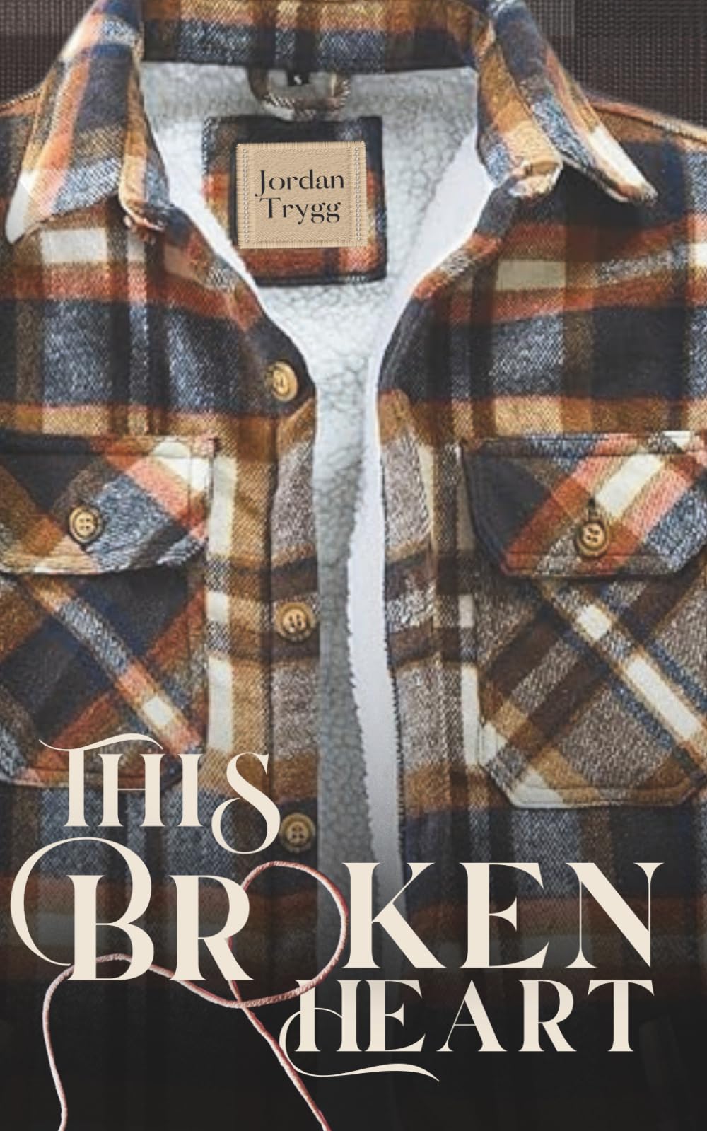 This Broken Heart: The Heartland Boys (Cozy Edition)