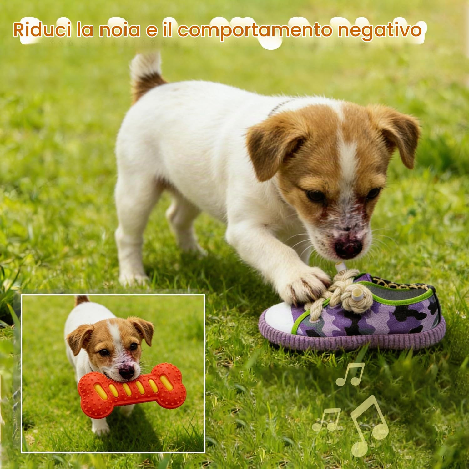 Waldseemüller Giocattoli per cani - Set di 9 giocattoli per cani di piccola e media taglia