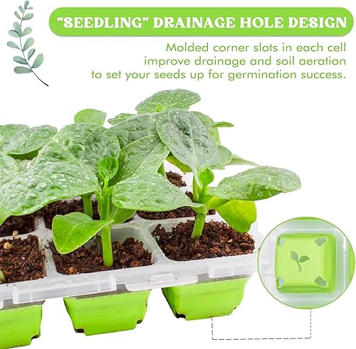 Miniatura 3 de Cesnleoik Bandejas de inicio de semillas, 1 bandeja de cultivo de brotes, bandejas de inicio para plantar vegetales, flores, hierbas, suculentas,