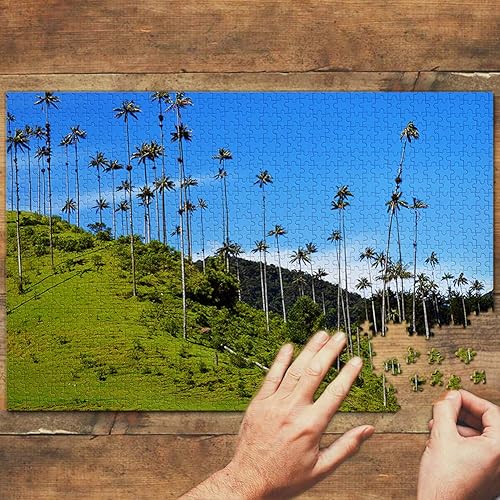 Miniatura 2 de Colombia Quindio rompecabezas 1000 piezas juego arte viaje recuerdo de madera