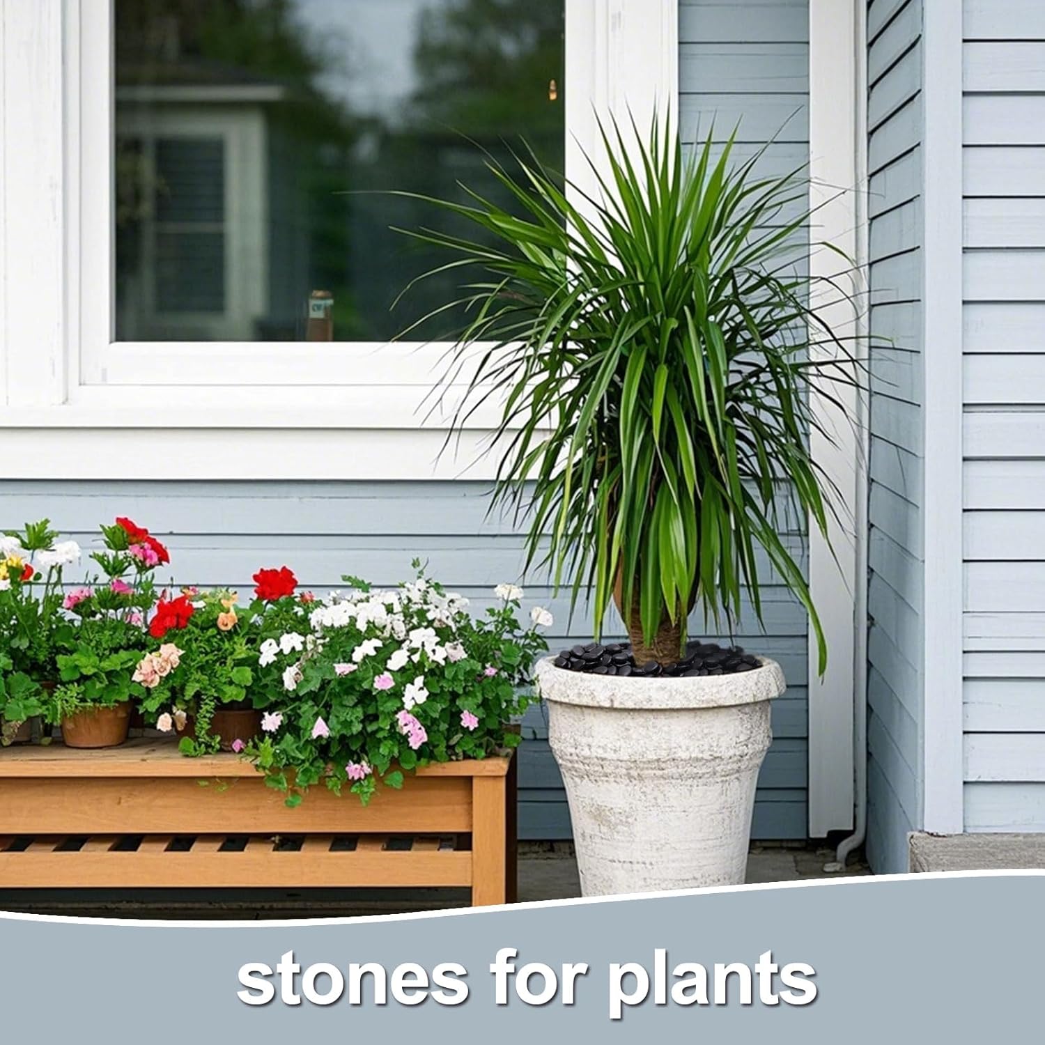 Calofulston 10LB Black Rock, Small River Stones Pebbles for Plants, Vases, Landscaping, Highly Polished Decorative Rocks, 1-1 3/4 Inch