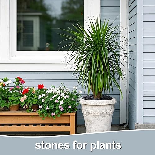 Miniatura 9 de Calofulston Rocas de río de 10 libras para plantas, piedras pulidas decorativas para paisajismo de jardín, macetas, decoración de interiores y