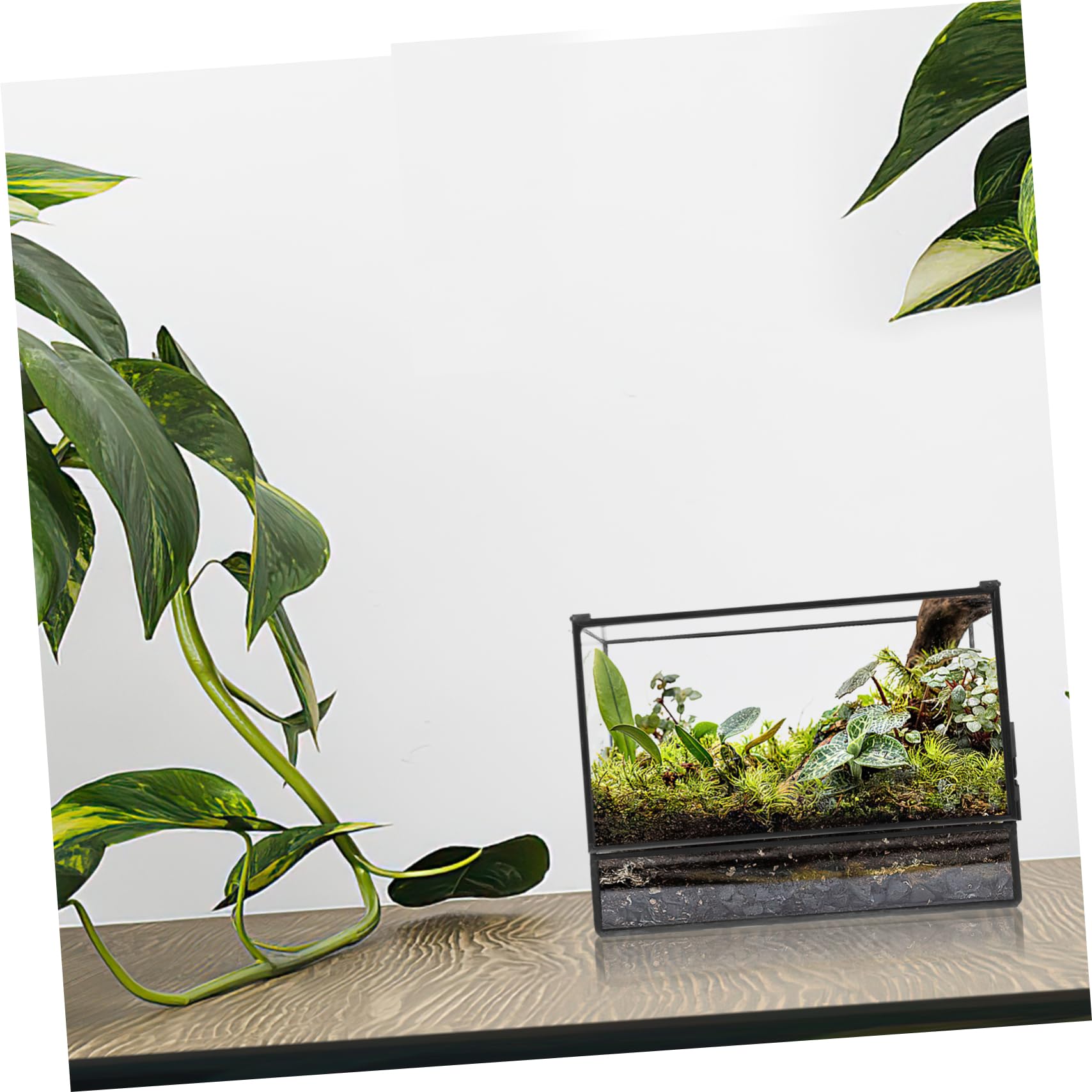 Handgefertigtes Geometrisches Glas Terrarium mit Glatter Oberfläche für Pflanzen und Moos Kleines Terrarium für Wohnzimmer und Tischdekoration