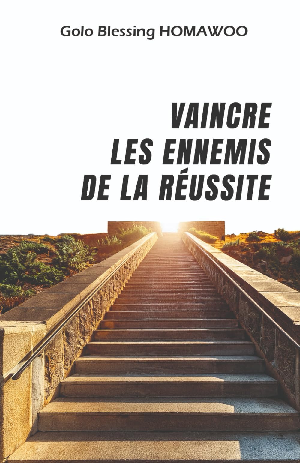 Vaincre les ennemis de la réussite