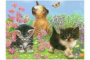 Royal Brush Color Pencil by Number Kit: Paint with Precision for Purr-fect Results