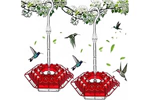 Shirem DNA Helix Hummingbird Feeder: Feed Your Feathered Friends with Style