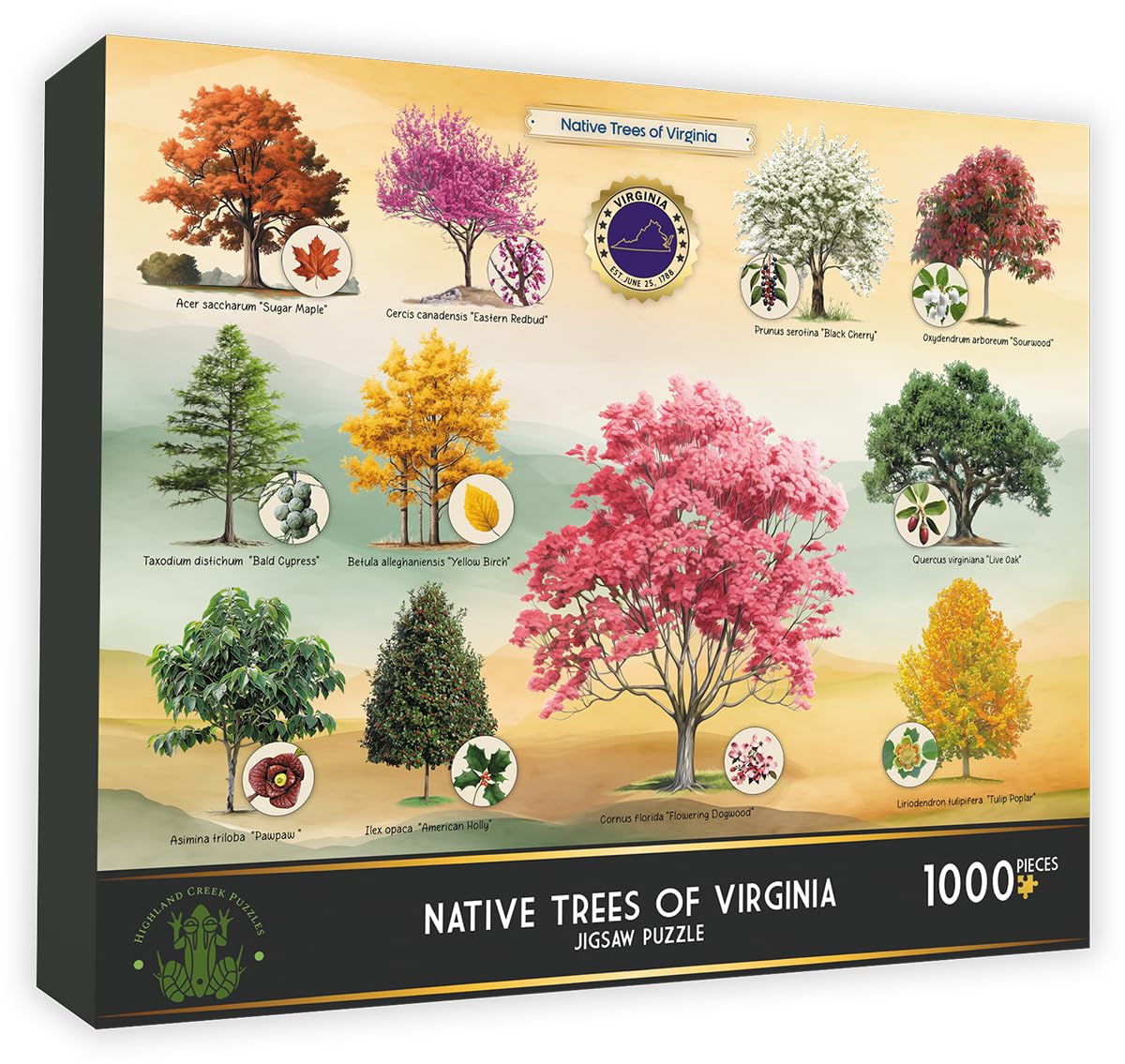 native english / native Business　CD5枚 Amazon.com: Highland Creek Puzzles Native Trees of Virginia Jigsaw