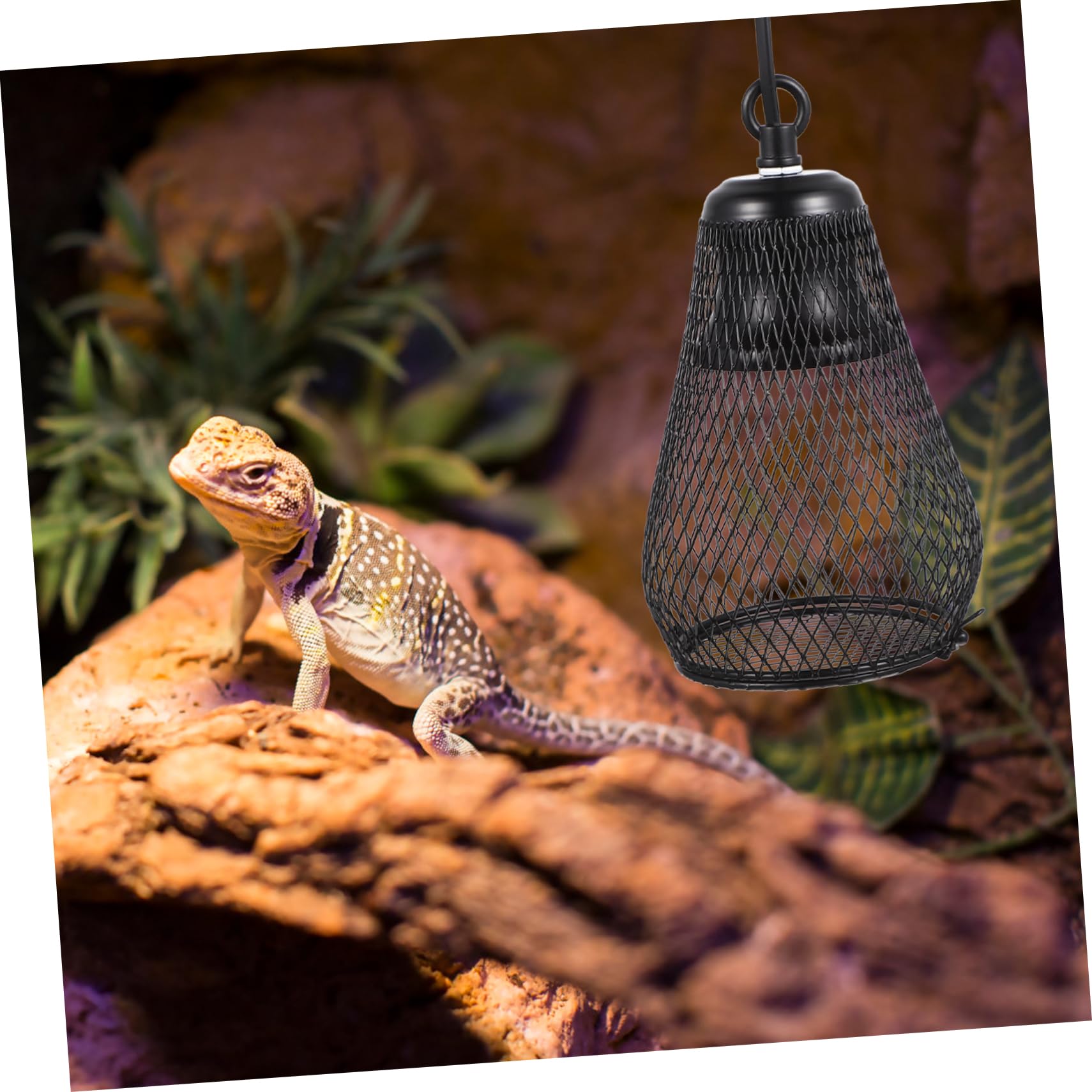 COLLBATH Couverture De Lampes Chauffantes pour Reptiles Antibrûlure Compatible avec Tortues Lézards Hamsters Accessoire pour Terrarium