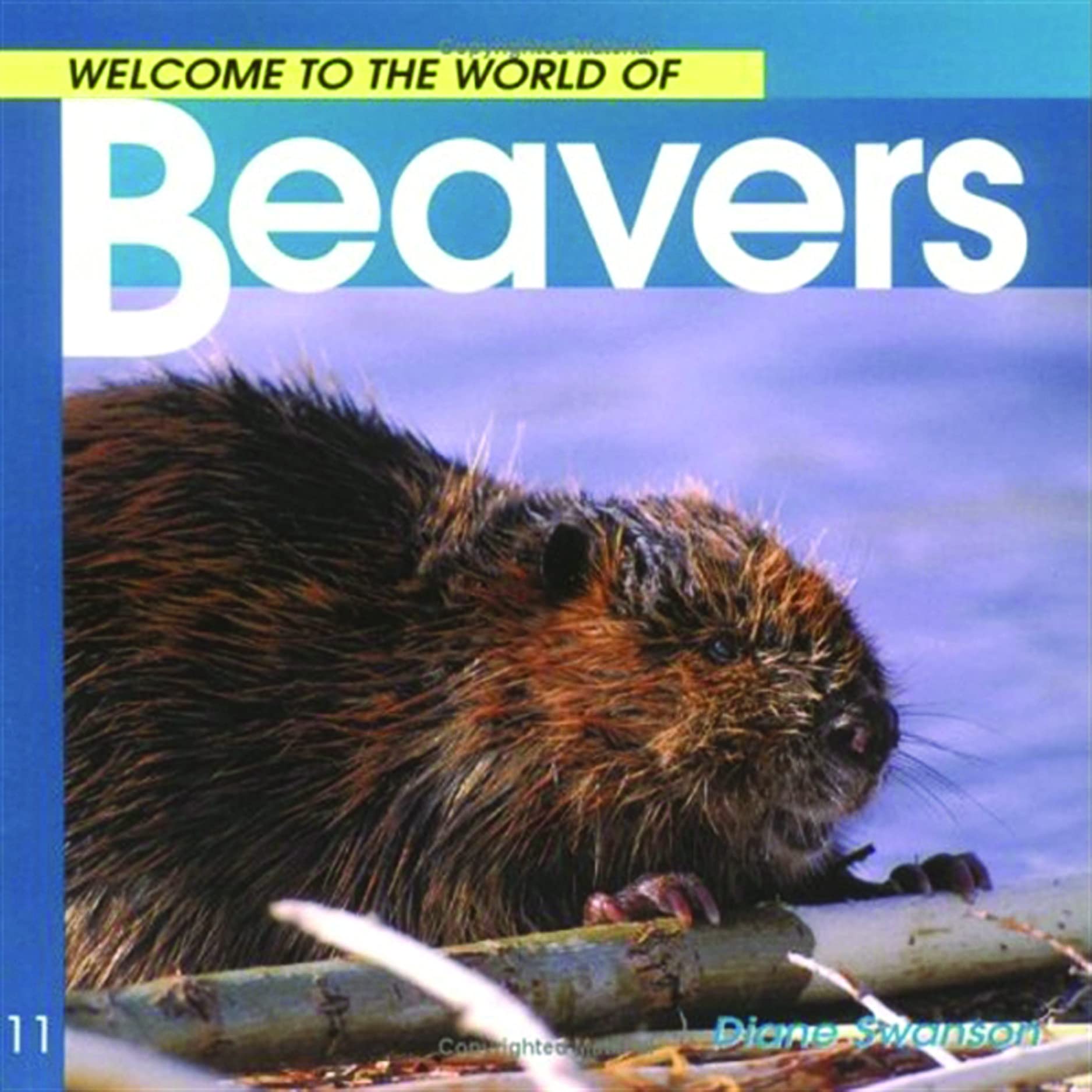 Welcome to the World of Beavers (Welcome to the World Series) Paperback – March 1, 1999