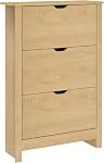 HOMCOM Cabinet de chaussures étroites, Space Armoire de rangement avec sabotage 2 Tiroirs et étagères réglables pour 6-12 paires de chaussures pour hall d'entrée et salon, blanc