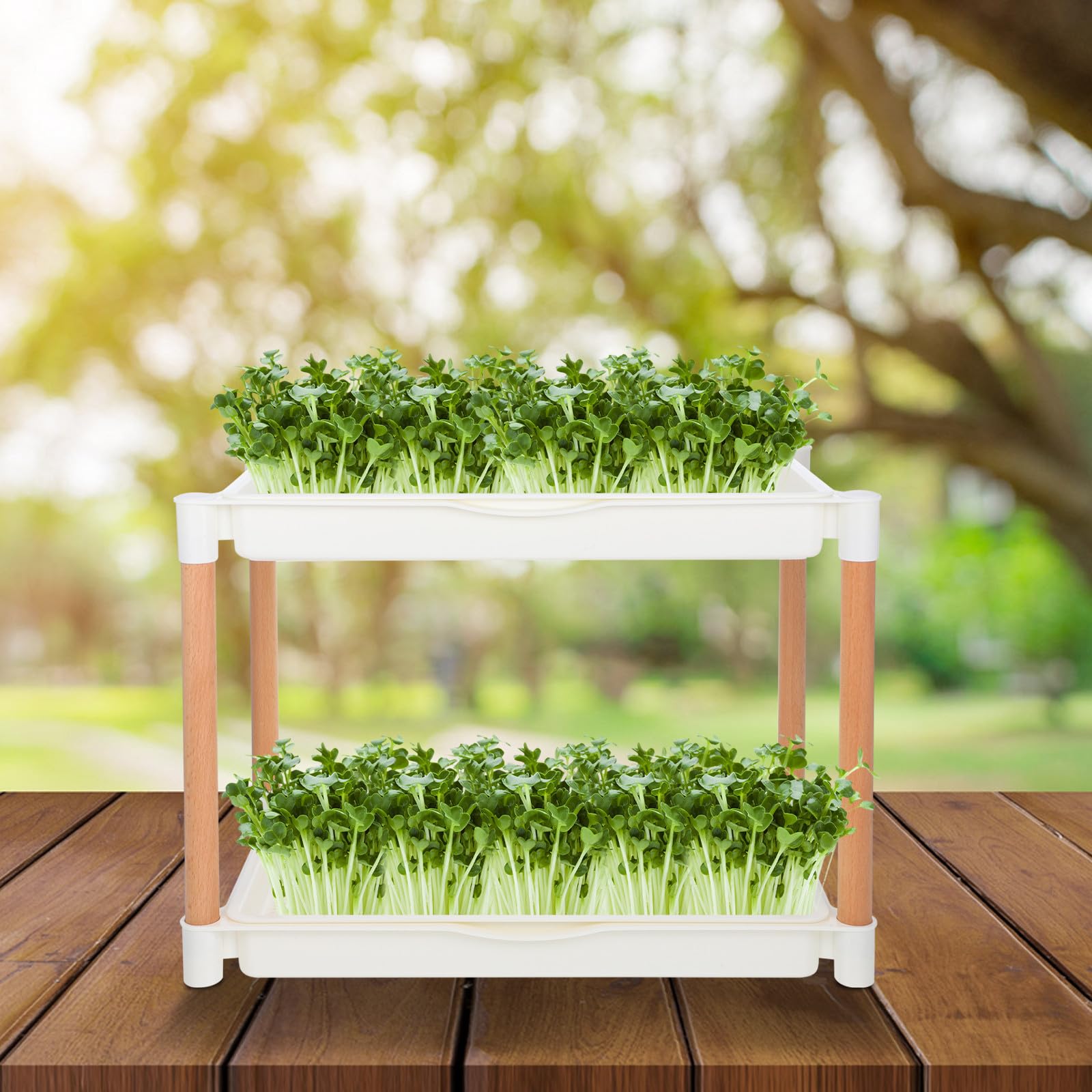Beaupretty Keimschale Soillose Anzuchtplatte aus Dickem Pp Material Doppellagige mit Maschenlöchern für Microgreens und im und Esszimmer