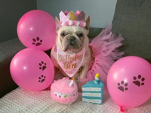 Miniatura 2 de Bandana de cumpleaños para perro, suministros de fiesta de cumpleaños para niñas, bandana para perros pequeños y medianos