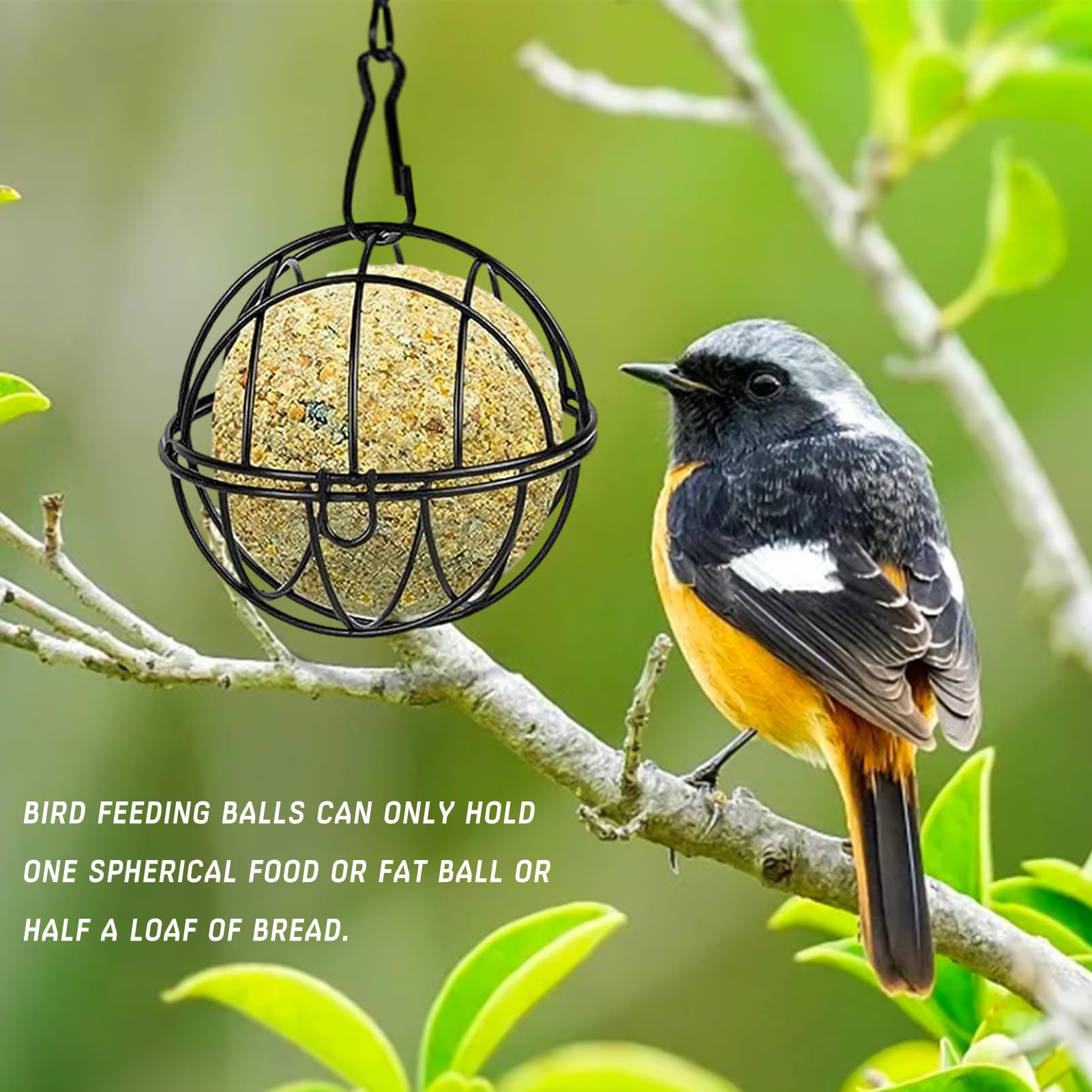 Lot De 8 Mangeoires à Boules De Graisse Pour Oiseaux Sauvages - En Métal, Suspendues, Pour Jardin, Balcon Ou Cour