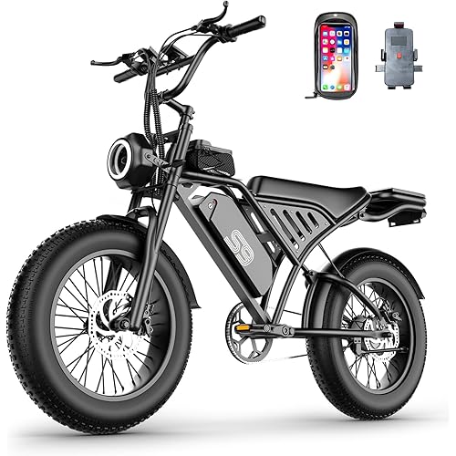 ASKGO Electric Bike for Adults, 2500W Peak Motor, 100 Miles & 30MPH, 20" Fat Tire All-Terrain Electric Dirt Bike with 48V 20AH Removable Battery, Dual Disc Brake Off Road E-Bike