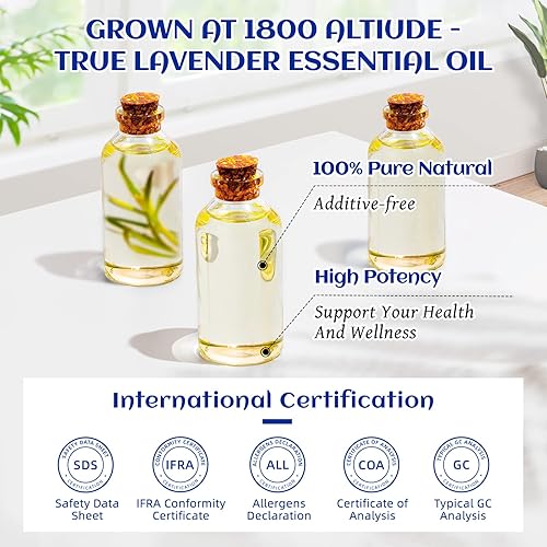 Miniatura 2 de HIQILI Aceite esencial de lavanda y aceite esencial de sándalo, 100% puro y natural para difusor, 3.38 onzas líquidas