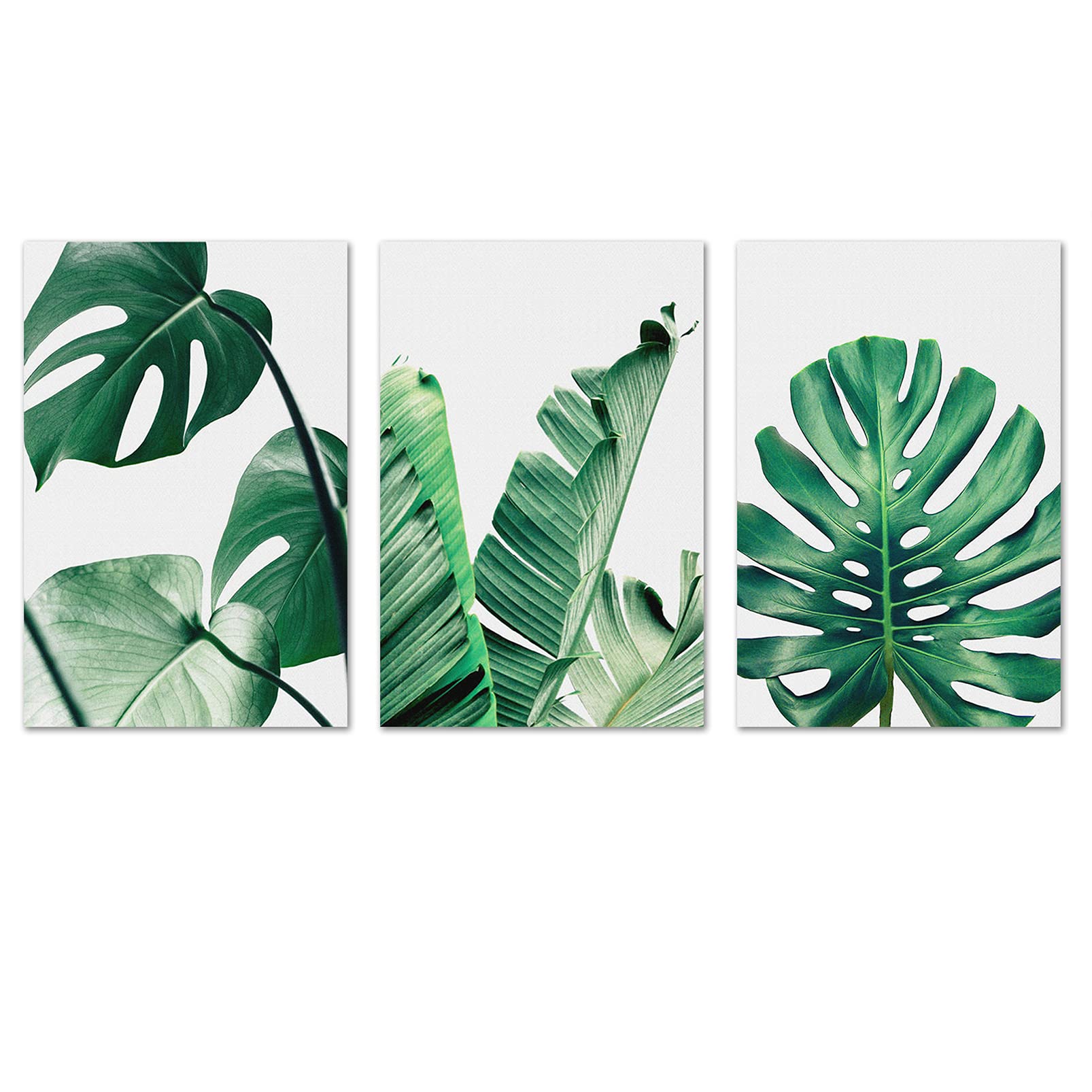 Green Leaf Botanical Wall Art - Plant Wall Decor for Bedroom Living Room Tropical Nature Canvas Pictures Succulent Monstera Banana Leaves Prints Home Bathroom Decorations Simple Life Painting Unframed