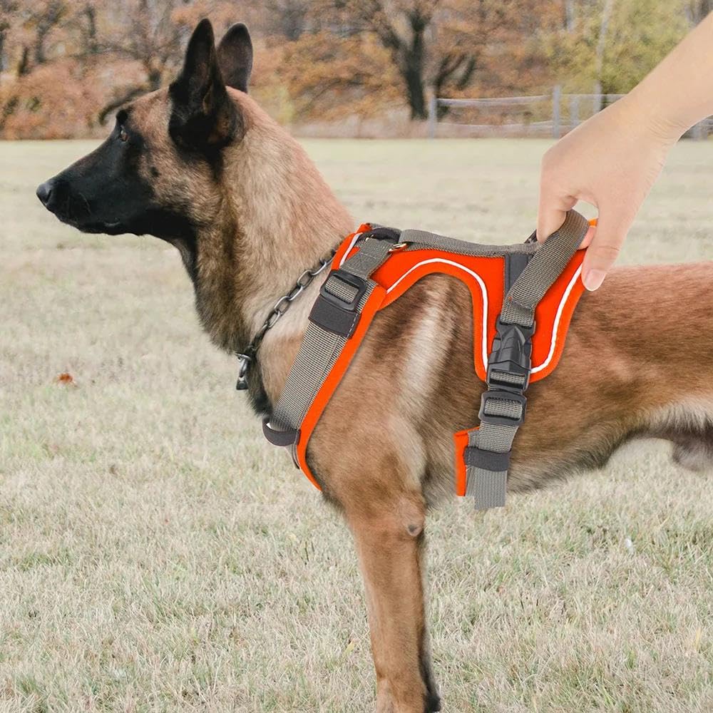 Gilet per Cani Regolabile Senza trazione, Gilet per Animali Domestici in Nylon a Rete, Gilet per Cani Riflettente per Esterni con Maniglia di Controllo (Rosso M)