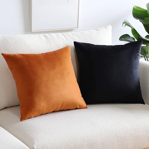 Miniatura 4 de Artscope Fundas de almohada cuadradas de terciopelo de lujo súper suaves, decorativas, fundas de cojín para sofá, dormitorio, decoración de