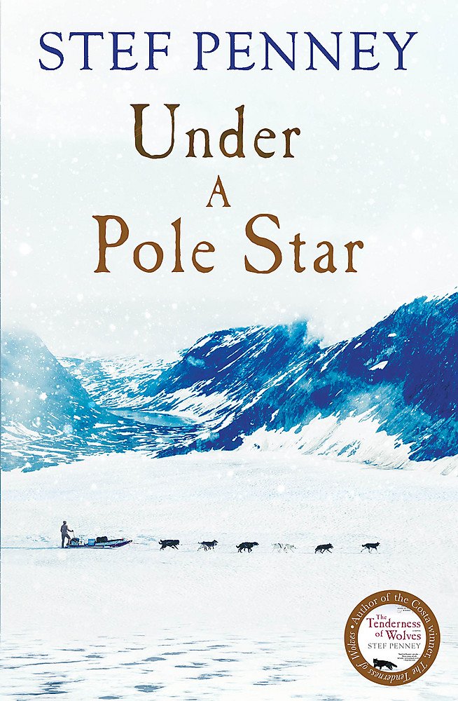 Buy Under A Pole Star — BookShops.in