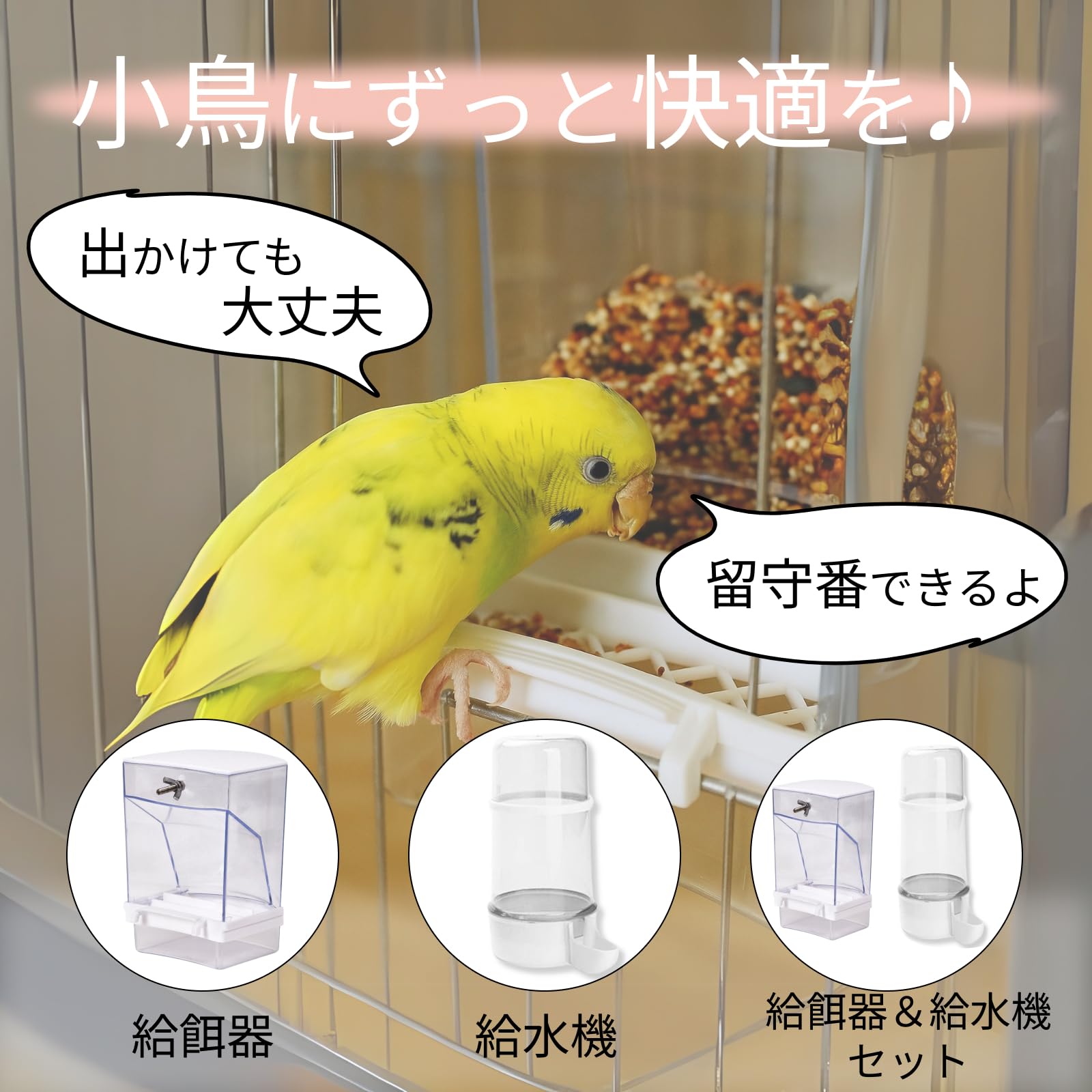 Amazon | adzu 鳥の餌 自動給餌器 インコ 餌 餌やり機 小鳥