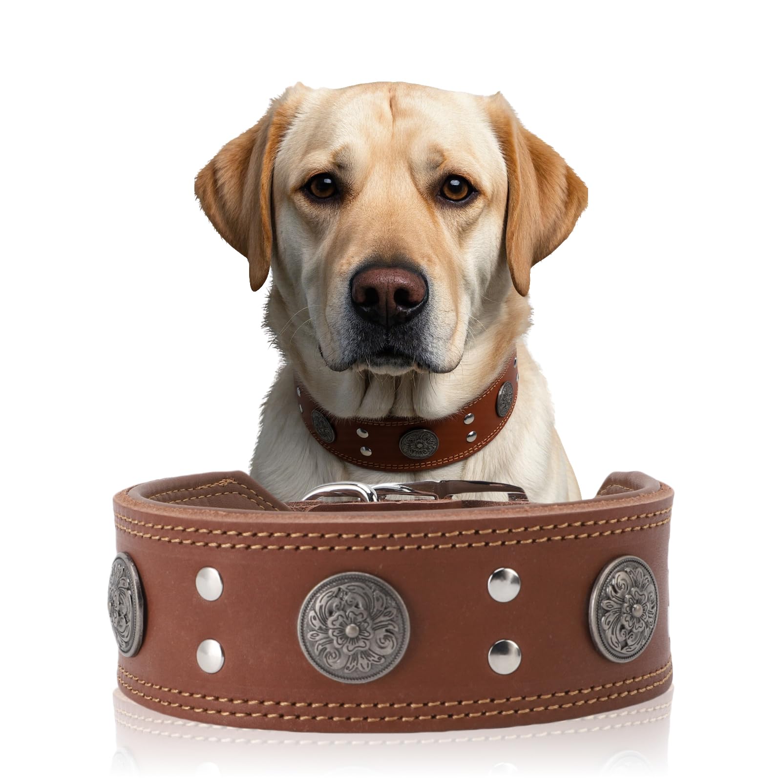 Collar de Cuero para Perros, Collar de Cuero Ancho para Perros de 5cm, Collares de Ajustables con Hebilla metálica, Collar Ancho para Perros de Razas Grandes y Medianas (Talla XL)