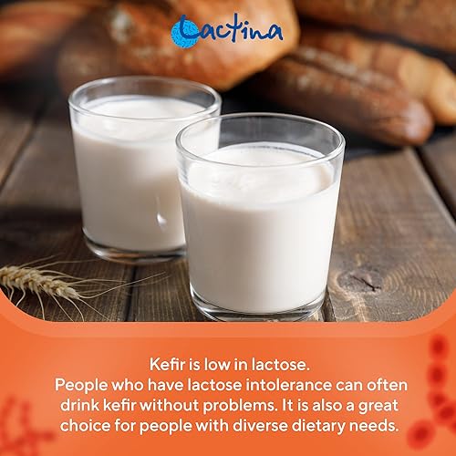 Miniatura 5 de Polvo de cultivo iniciador de kéfir fermento para un estómago saludable