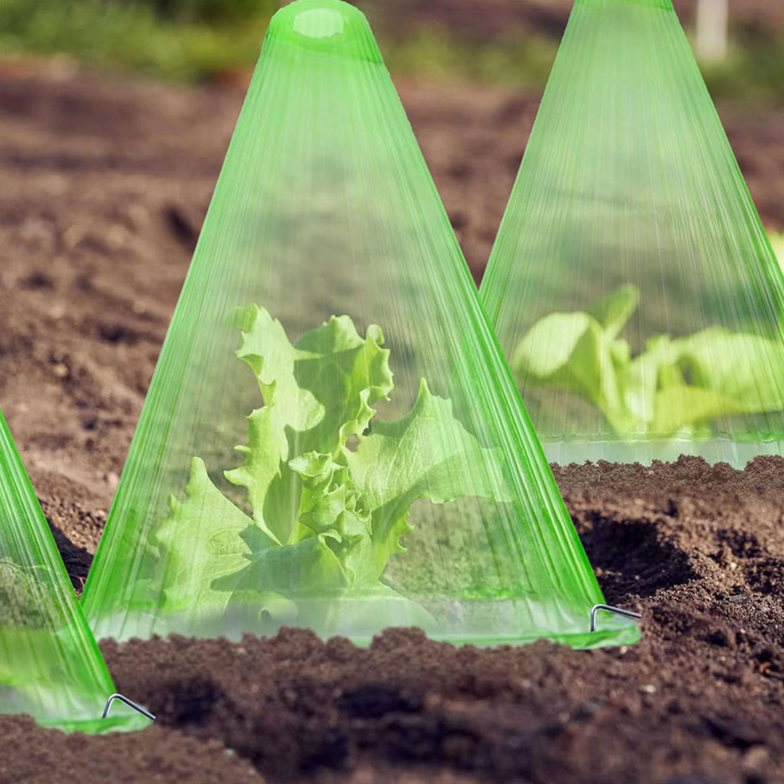 30 pièces dômes Cloches en Plastique réutilisables pour Plantes, couvertures de Plantes en Cloche protégeant des Animaux de Jardin, escargots, Oiseaux, Poulets, Comprend 60