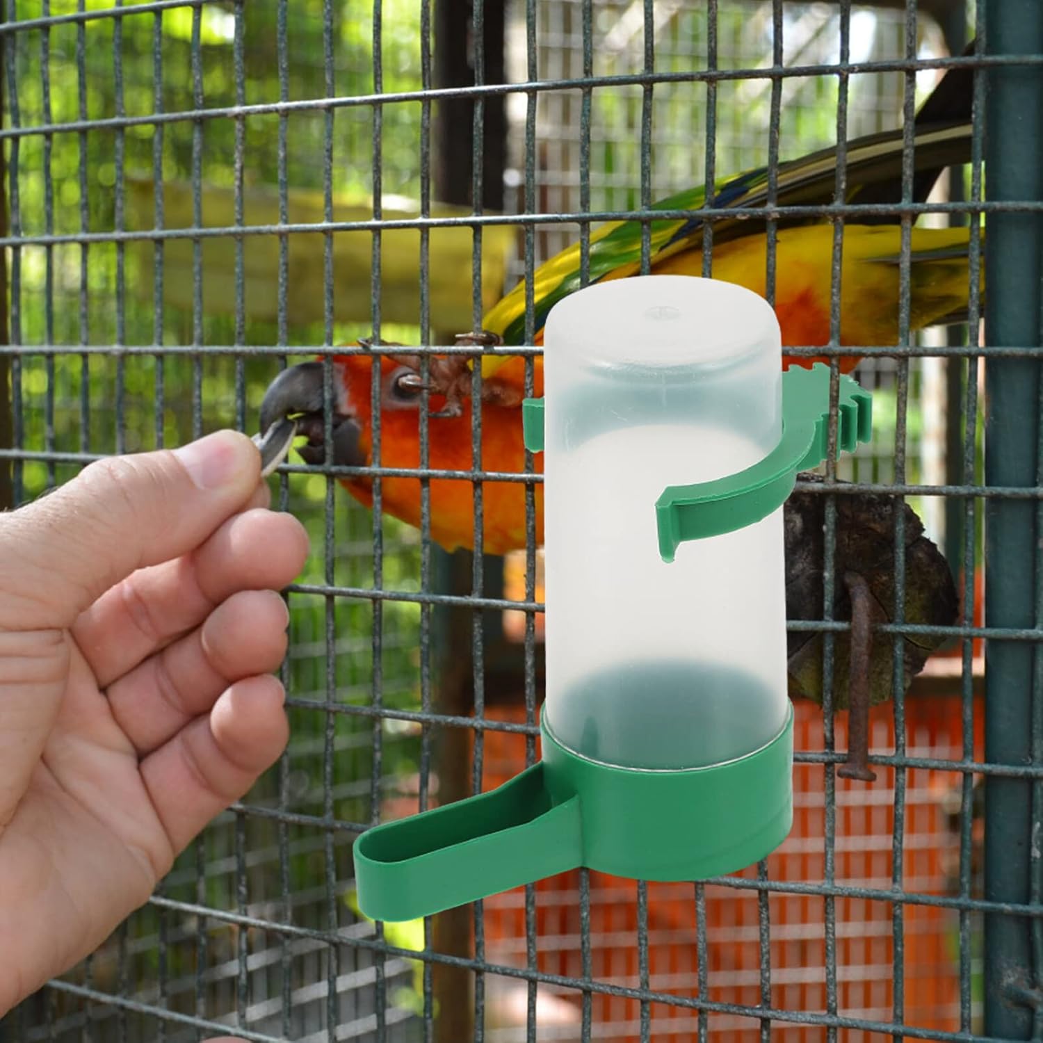 HANABASS 40pcs Automatic Bird Water Feeder Pigeon Water Dispenser for Easy Drinking Convenient Cage Accessory for Quails and Parrots Capacity Bowls