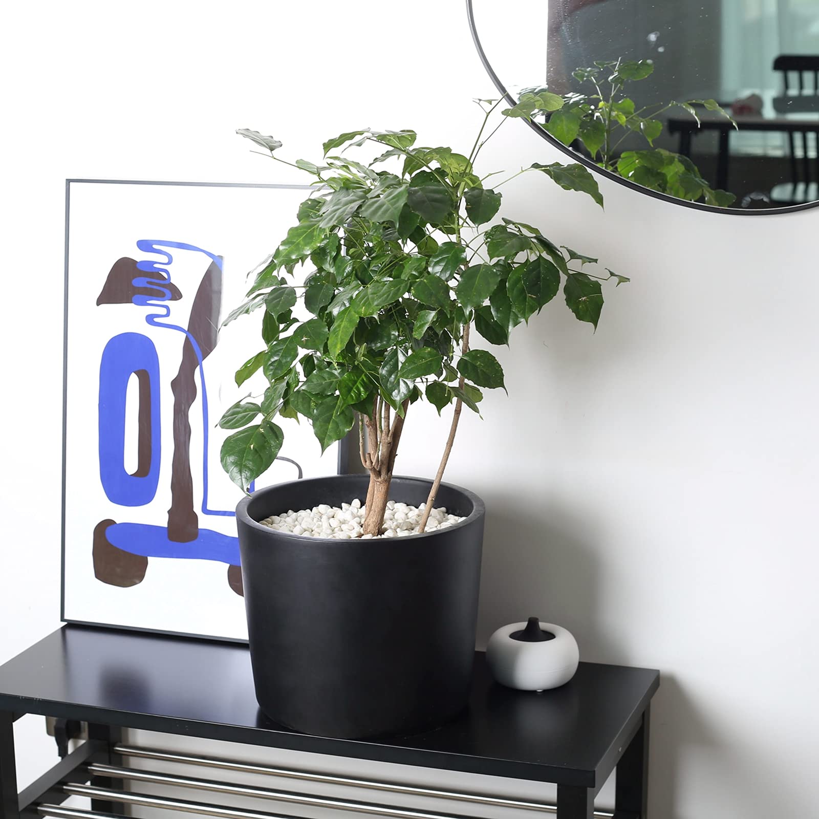 Amazon.co.jp: Pageqiu 植木鉢 屋内 12インチ ブラック 厚手