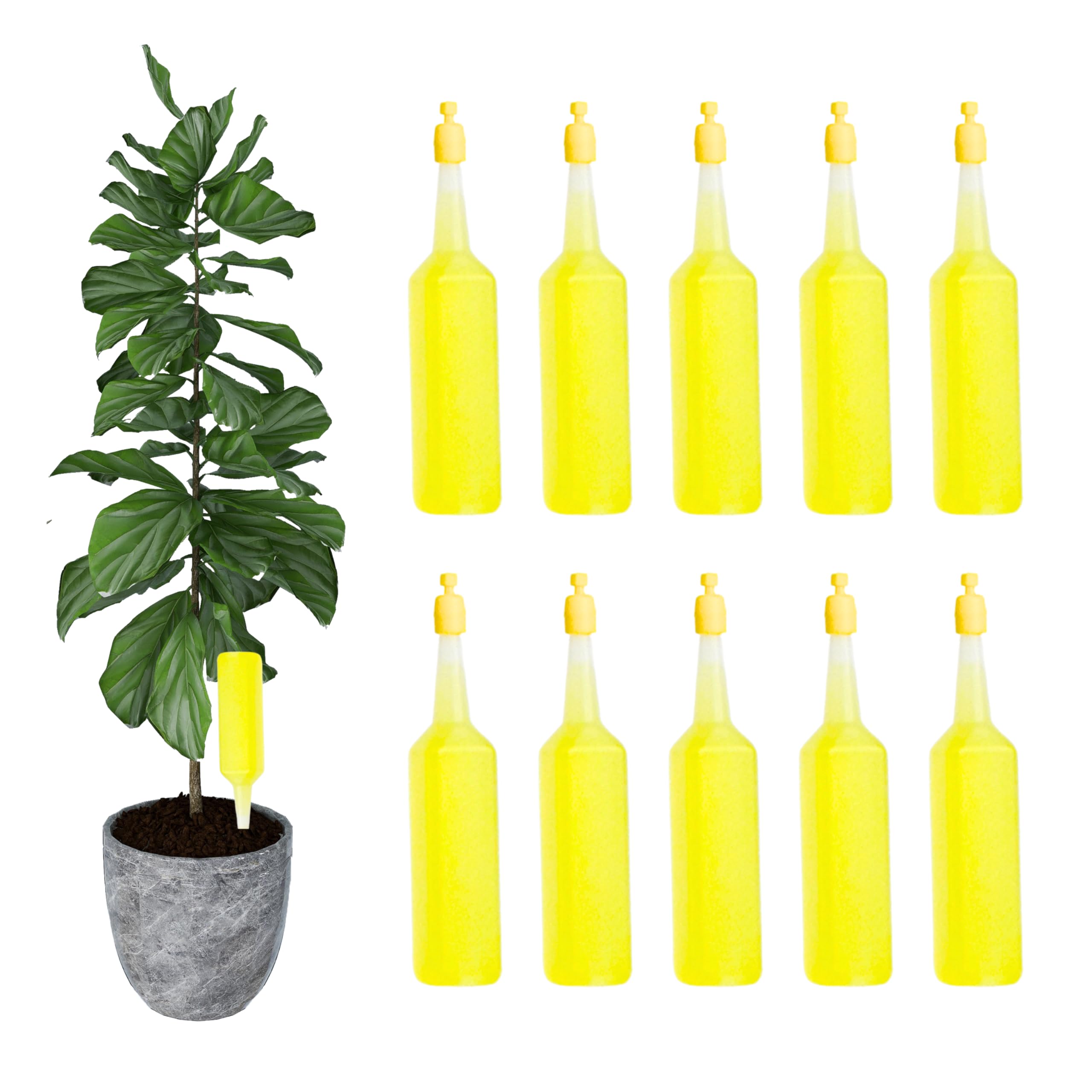 ADEPTNA Ready to Use Pack of 10 Drip Feeders Easy to Use Helps to Encourage Vibrant Colours and Bloom healthy growth Plants Flowers Trees (HOUSEPLANT)