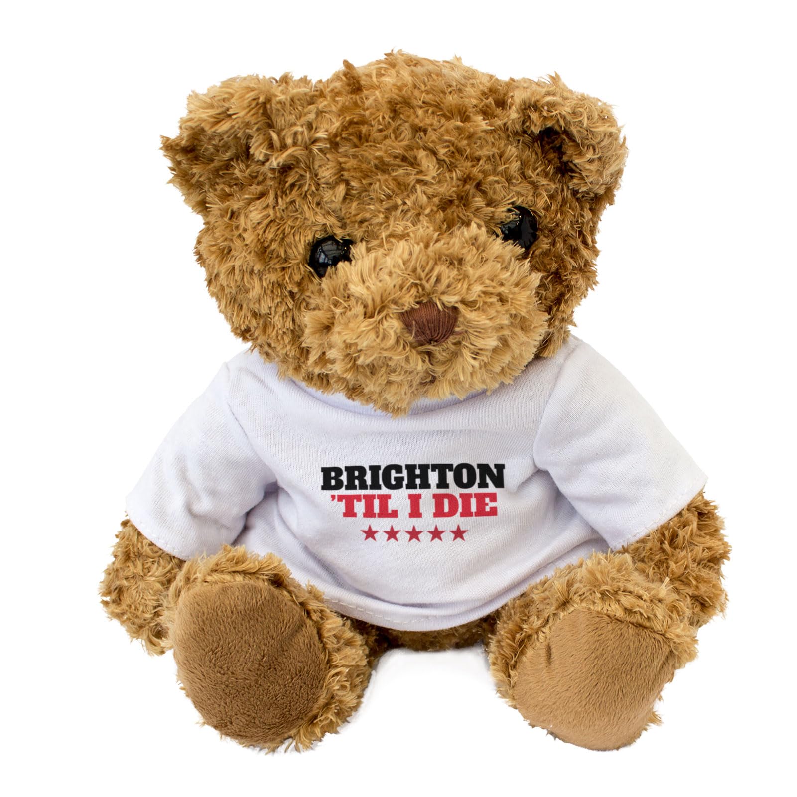 Big Red Egg BRIGHTON TIL I DIE - Teddy Bear - Cute Soft Cuddly Adorable - Gift Present, Brown - Image 2