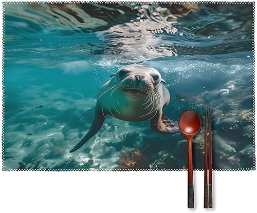 Australian Sea Lion Underwater Photo Placemats Set of 6 Resistant Table Mats Washable Place Mats for Dinner Party Table Decoration