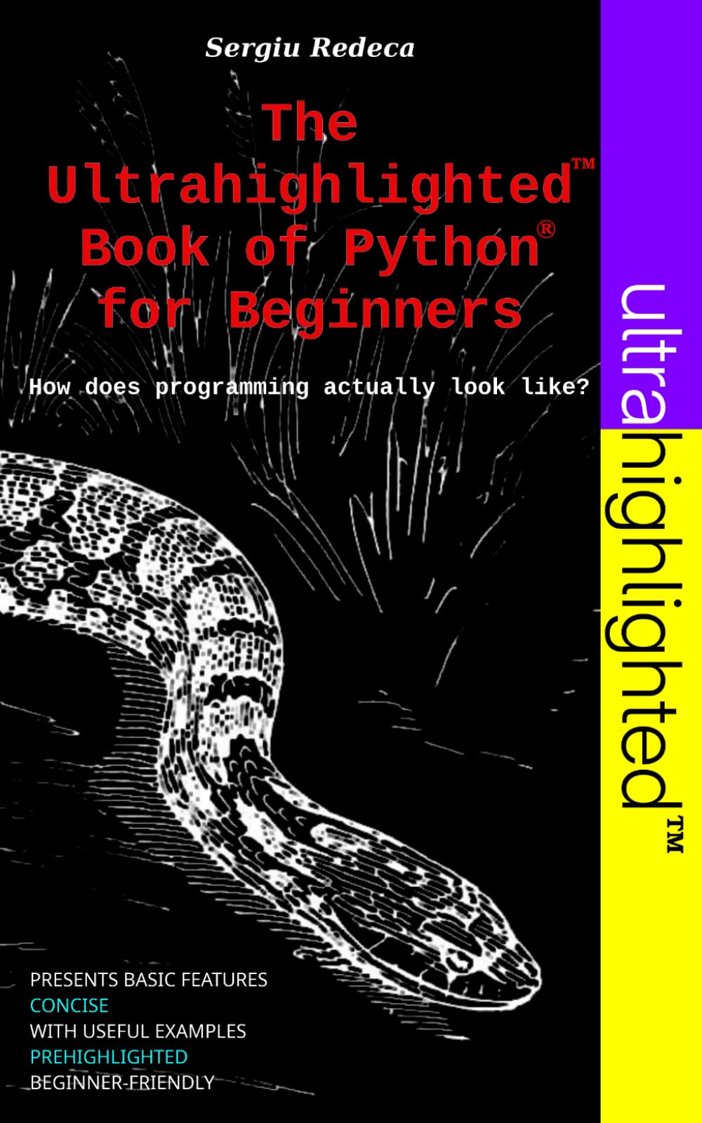 The Ultrahighlighted Book of Python for Beginners: How does programming actually look like?