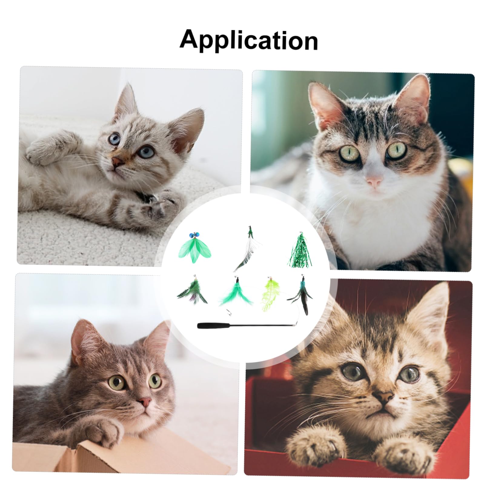 Kisangel 24pièces Jouets Interactifs pour Chat Canne Plumes Et Têtes Remplaçables Kit De Divertissement pour Chat