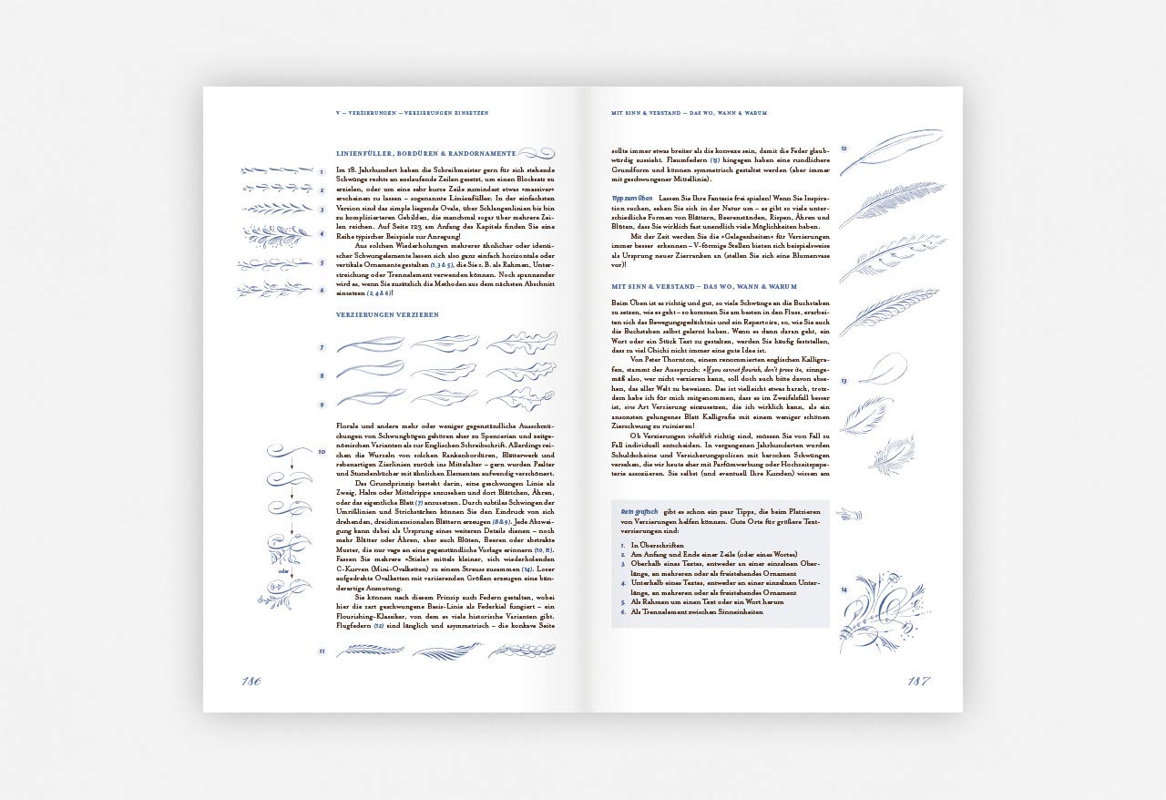 Spitzfederkalligrafie: Von der Englischen Schreibschrift zur Modern Calligraphy