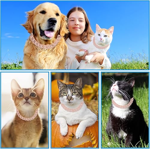 Miniatura 4 de Collar de perro con diamantes con purpurina, collar de cadena de metal para caminar de oro rosa con diseño de hebilla segura, accesorios de joyería